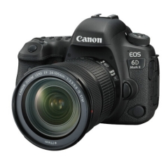 佳能（Canon） EOS 6D Mark II 单反套机（EF 24-105mm f/3.5-5.6 IS STM 镜头） ZX.273