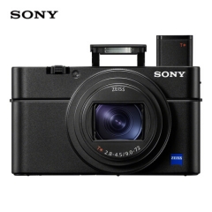 索尼（SONY）DSC-RX100M6 黑卡数码相机 1英寸大底（蔡司24-200mm F2.8-4.5镜头 4K视频 触摸对焦 ） ZX.308