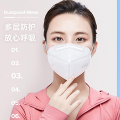 鑫胜康成人KN95防护口罩一次性口罩防尘透气防雾霾PM2.5  （10个/包）  JC.999