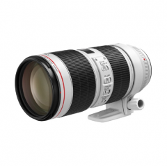 佳能（Canon）EF 70-200mm f/2.8L IS III USM 单反镜头      ZX.416