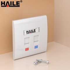 海乐（Haile）86型双口网络信息面板/网线插座/电脑插座/网络信息插座 白色HT-8602 JC.1661
