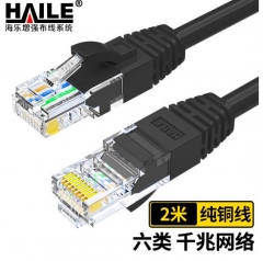 海乐（Haile）六类网线HT-300H-2M纯铜线芯非屏蔽黑色2米 WL.943
