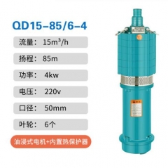 高扬程大流量潜水泵多级泵220V 大流量4KW2寸85米6叶 JC.1835