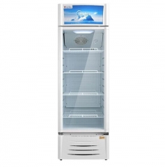 美的(Midea) 展示柜立式冷藏冰柜双层玻璃门冷藏柜 276升 风冷无霜 SC-276GWMQ DQ.1837