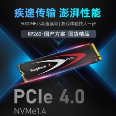 金百达（KINGBANK）512GB SSD固态硬盘 M.2接口(NVME PCIe 4.0x4) 读速5000MB/s KP260 长江存储晶圆 PJ.835
