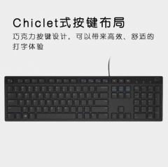 戴尔（DELL）KB216 键盘 有线 多媒体键盘 办公键盘 全尺寸键盘 即插即用 键盘（黑色）PJ.975