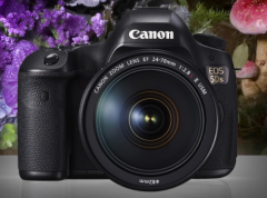 佳能（Canon）EOS 5DS 数码单反相机 +EF 24-105mm f/4L IS II USM 全画幅专业套装     货号100.TL