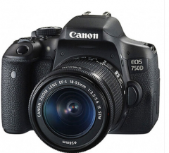 佳能（Canon）EOS 750D 单反套机 (EF-S 18-55mm f/3.5-5.6 IS STM镜头)  ZX.055