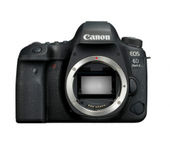 佳能（Canon） EOS 6D Mark II 单反机身  ZX.005